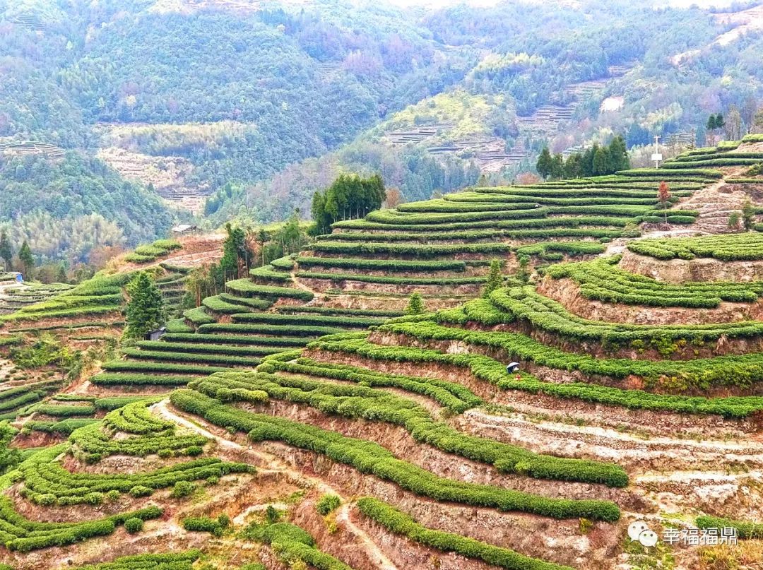 管阳镇挖出“土特产”,各个都是商机!