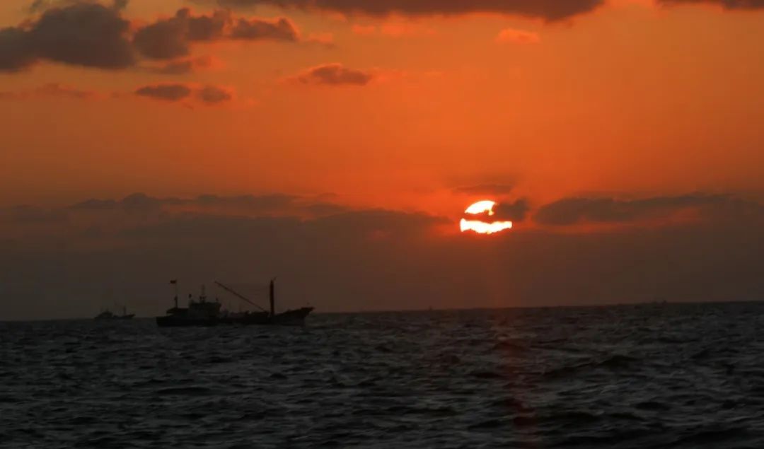 舟山带鱼是带鱼中的爱马仕,雷达网带鱼和普通带鱼有什么区别