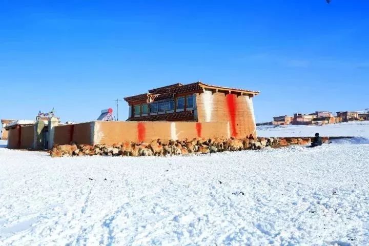 航拍阿坝农村视频,阿坝风景全景视频