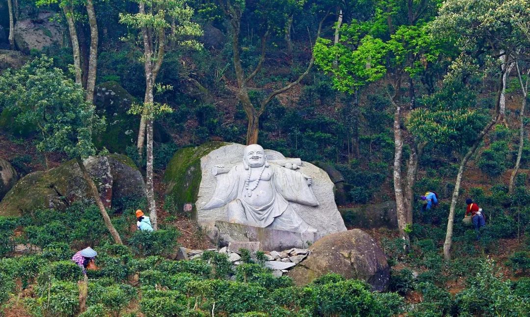 茶香禅韵入梦完整视频,世外桃源神仙度假地