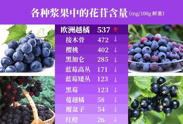 日本眼科协会力荐的“蓝光过滤器”,每天2粒,眼干眼涩眼疲劳都拜拜