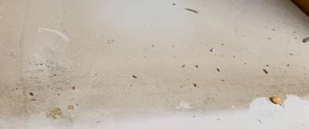 家里全是毛絮怎么去除,房间里老是有那种毛絮怎么处理啊