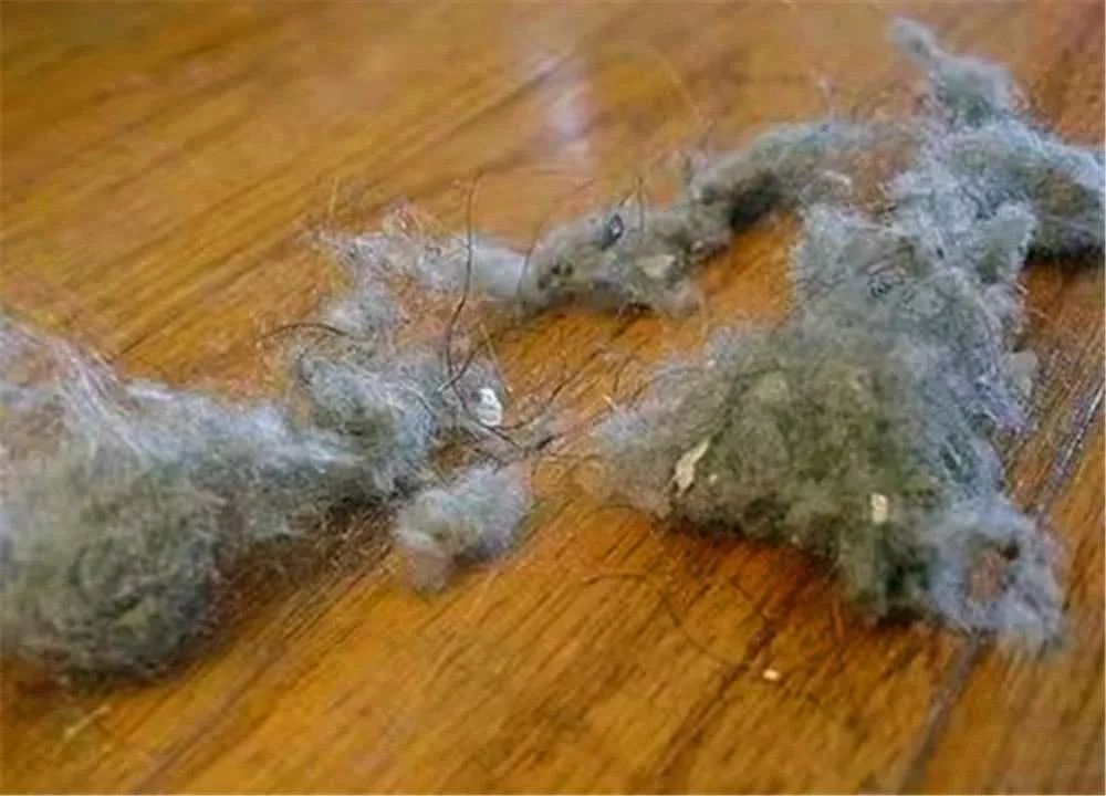 如何解决拖地后残留毛絮,怎么消除家里的毛絮