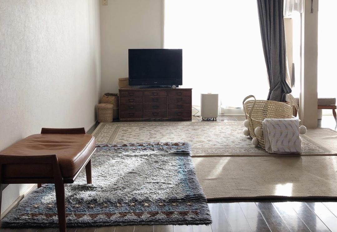 为什么房子里总有小毛毛,为什么房子里面会长蘑菇科学探究