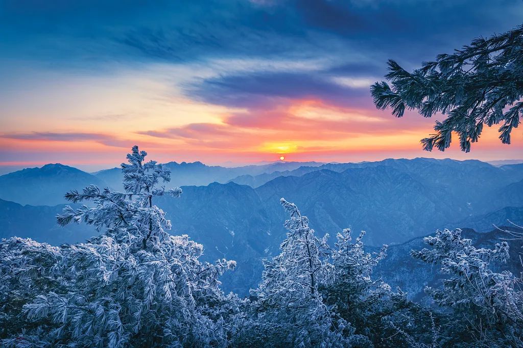 让客来时所见一山碧绿万物竞发