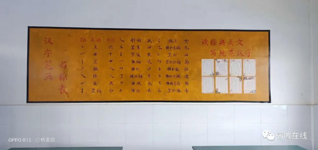 宿城有哪些学校,宿城区学校有哪些