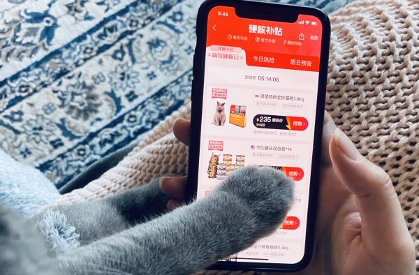 考拉海购宠物减肥吗 (考拉海购宠物价格)