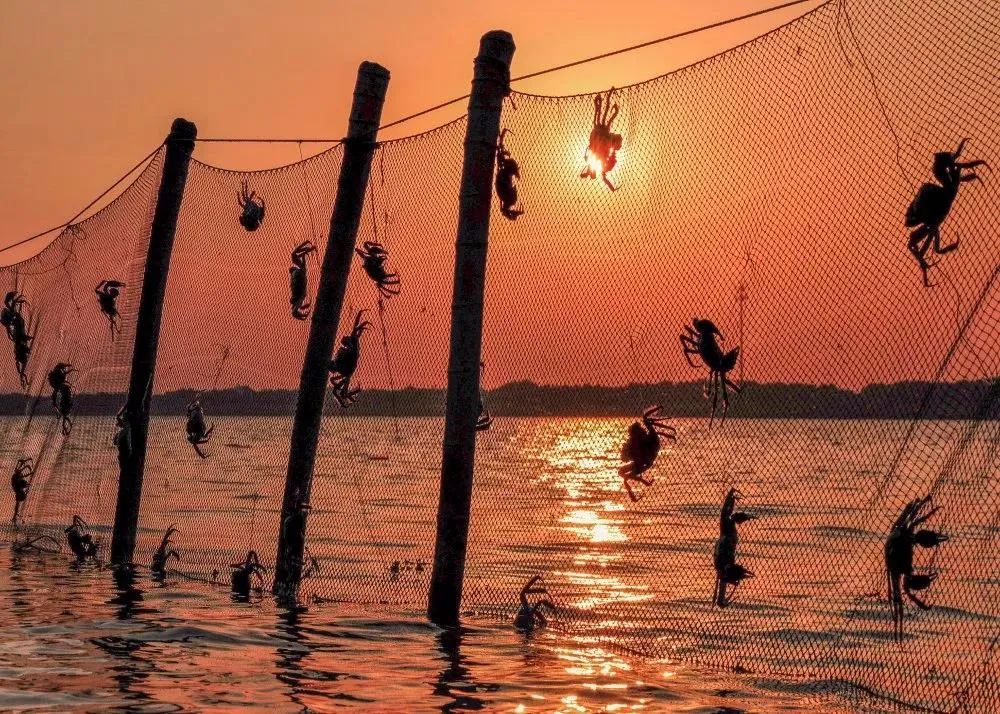 苏州冷门打卡地点,苏州网红冷门打卡地