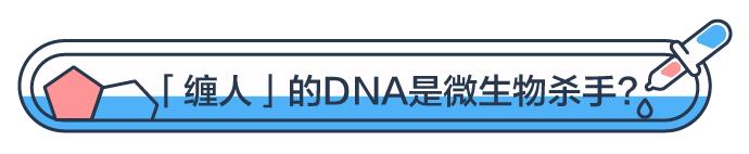 一次射精的DNA，连起来能绕地球多少圈？