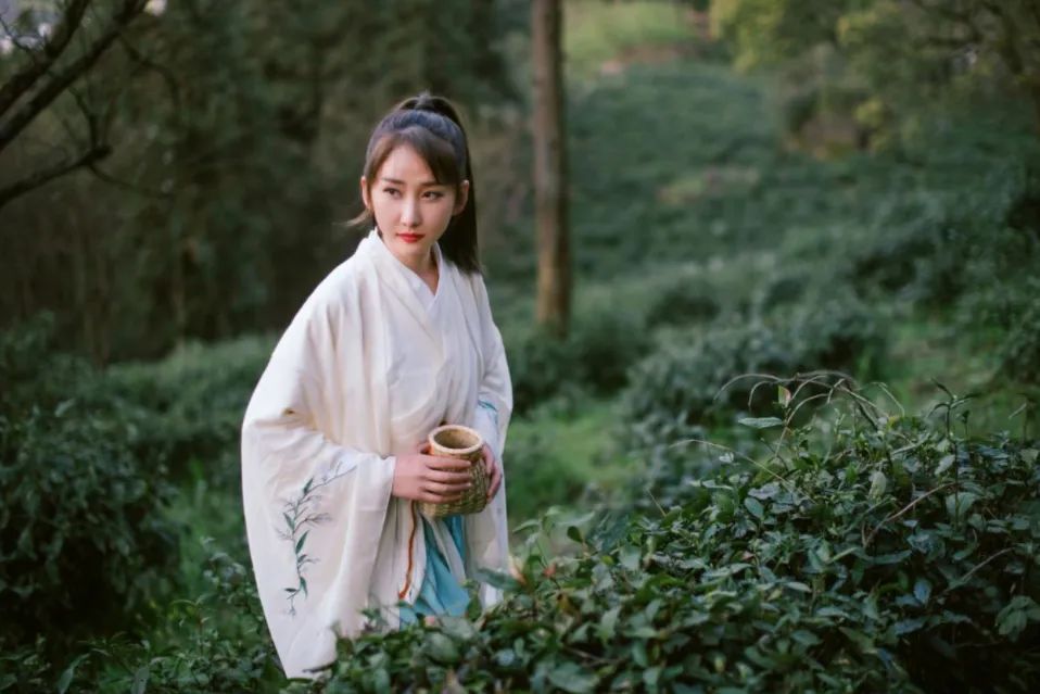 成都五一露营星空云海,云海五一旅游攻略最新