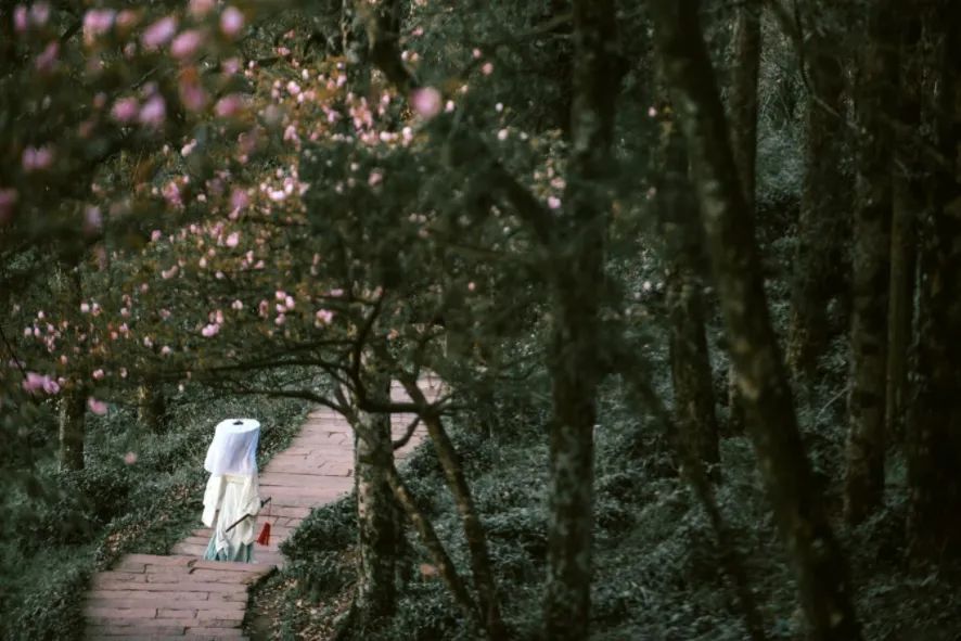 成都五一露营星空云海,云海五一旅游攻略最新