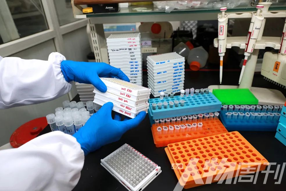 疫苗的来袭 (疫苗进度赛跑)