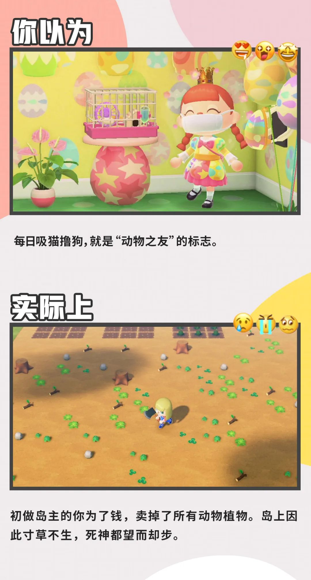 动森第一天黑屏,动森上岛后第一件事