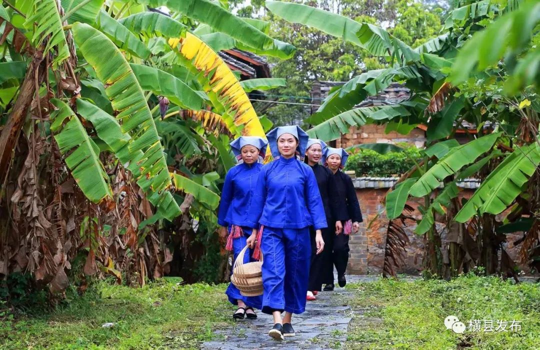 横县游玩的地方推荐,广西横县旅游胜地