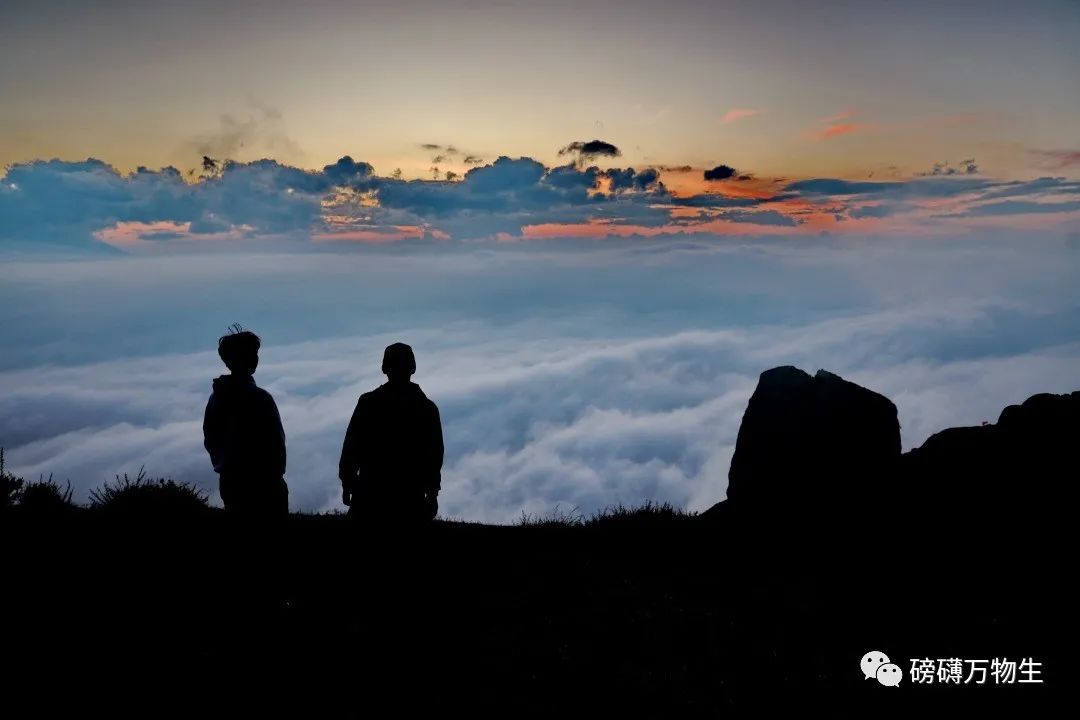 万物生电视剧,万物生微电影完整版
