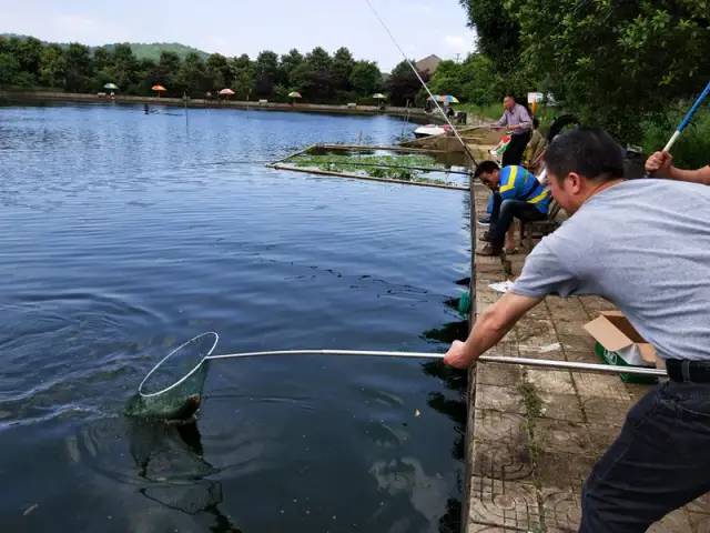长沙周边踏春游玩最好去处,五一来长沙这些地方让你玩个够