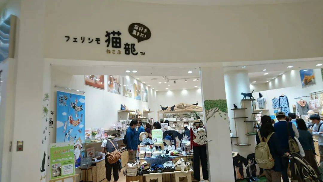 猫奴的春天!日本这家公司专门打造出「猫奴公寓」,每一处设计都超贴心