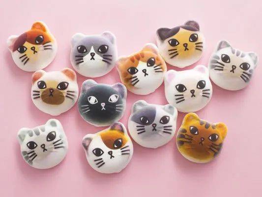 猫奴的春天!日本这家公司专门打造出「猫奴公寓」,每一处设计都超贴心