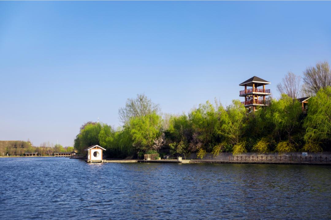 郑州五一值得打卡去处,郑州最值得去玩的地方