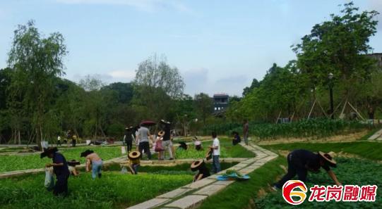 五一去哪玩深圳龙岗,龙岗五一最佳去处