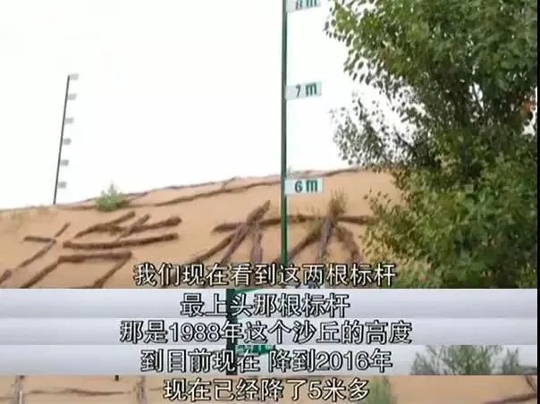 干掉千年沙漠,千年沙漠种树有多厉害