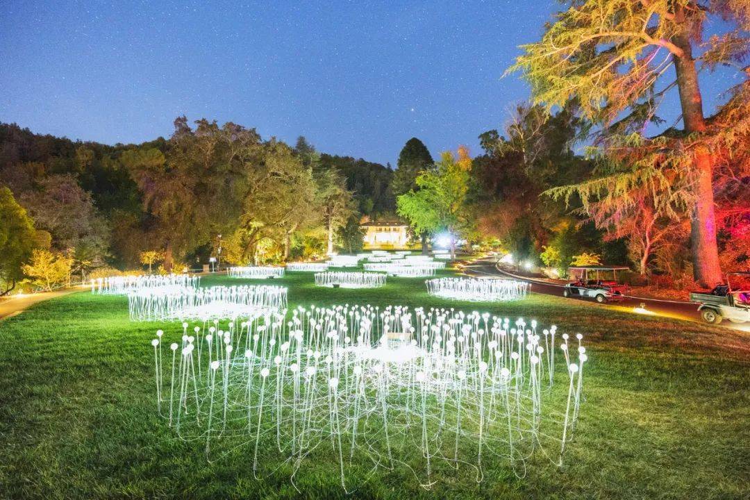 设计如何进行灵感的捕捉,设计灵感与作品