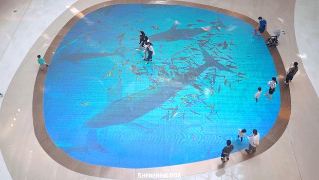 深圳地铁14号线最新消息 (深圳地铁14号线通车时间)