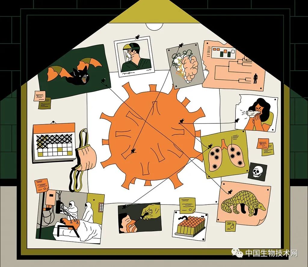 nature关于新冠的文章名字,解读最新新冠病毒