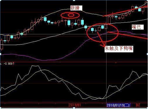 股市暗语1001,股市暗语99