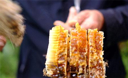 酿造百花蜜,酿造农家百花蜂蜜