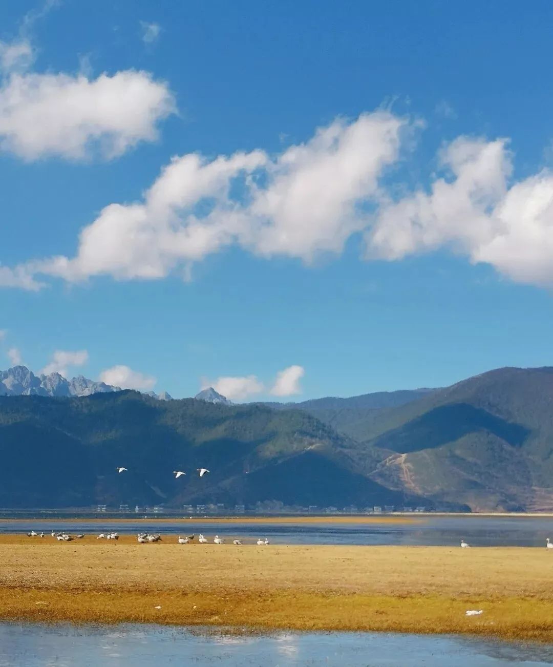 云南到昆明自驾游路线推荐攻略,云南到昆明旅游攻略自由行路线图