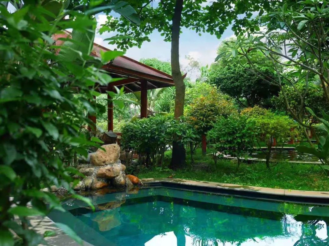 送温泉票!为什么那么多人想泡温泉?!厦门的这几家温泉胜地给你答案~