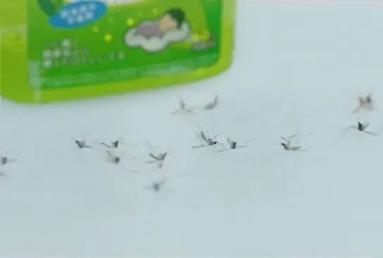 日本人真的很会玩吗,日本最好的防蚊方法