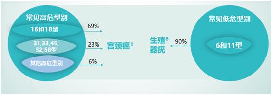 湖南南县hpv疫苗在哪里打,hpv疫苗湖南免费是真的吗