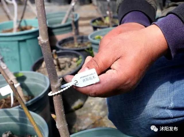 国务院通报表扬沭阳,沭阳县被表彰