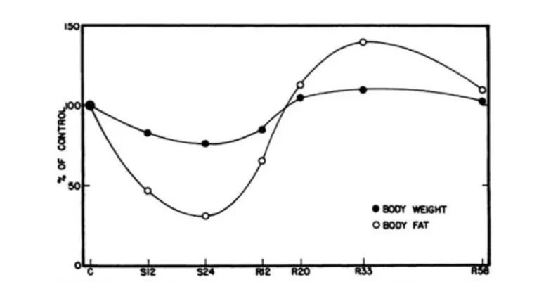 节食减肥饥荒效应,节食减肥饥荒