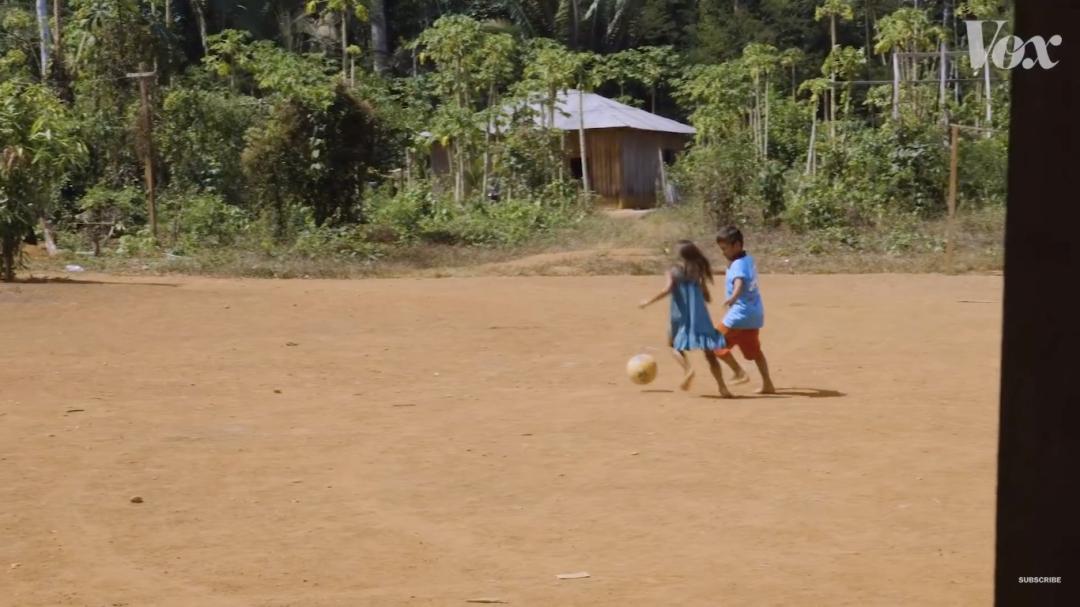 三个月砍掉20个曼哈顿,一年砍掉一个国家,亚马逊已经到了最危急的时候