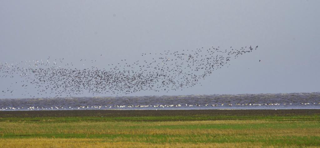 宾得穷人三宝视频,穷人三宝镜头宾得