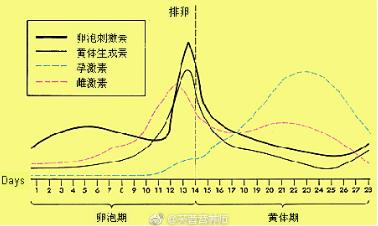 小姨妈是什么症状,小姨妈是指什么关系