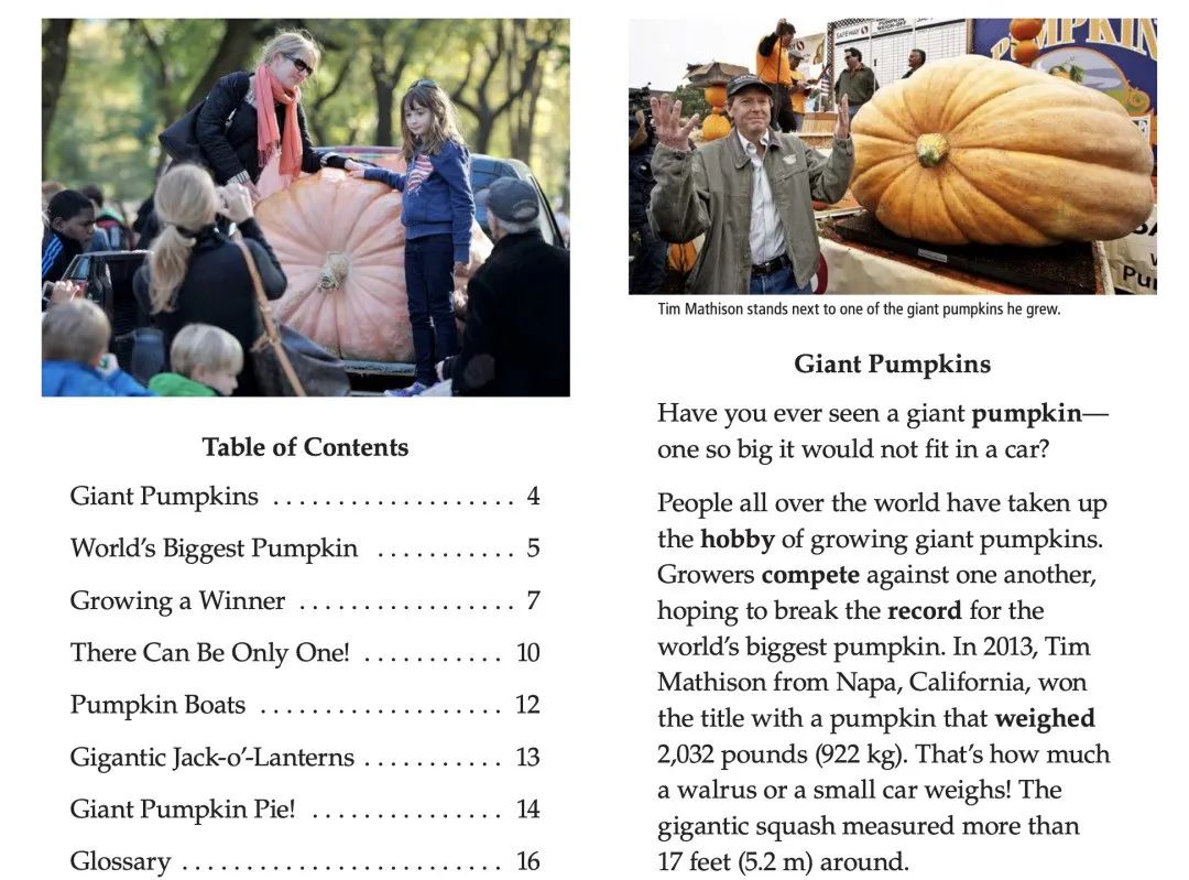 适合孩子入门的英语阅读,英语学习成长规划