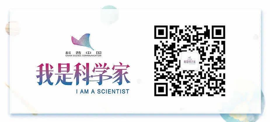 动物界中唯一一种一妻一夫的动物,世界上有哪些动物是一夫一妻制