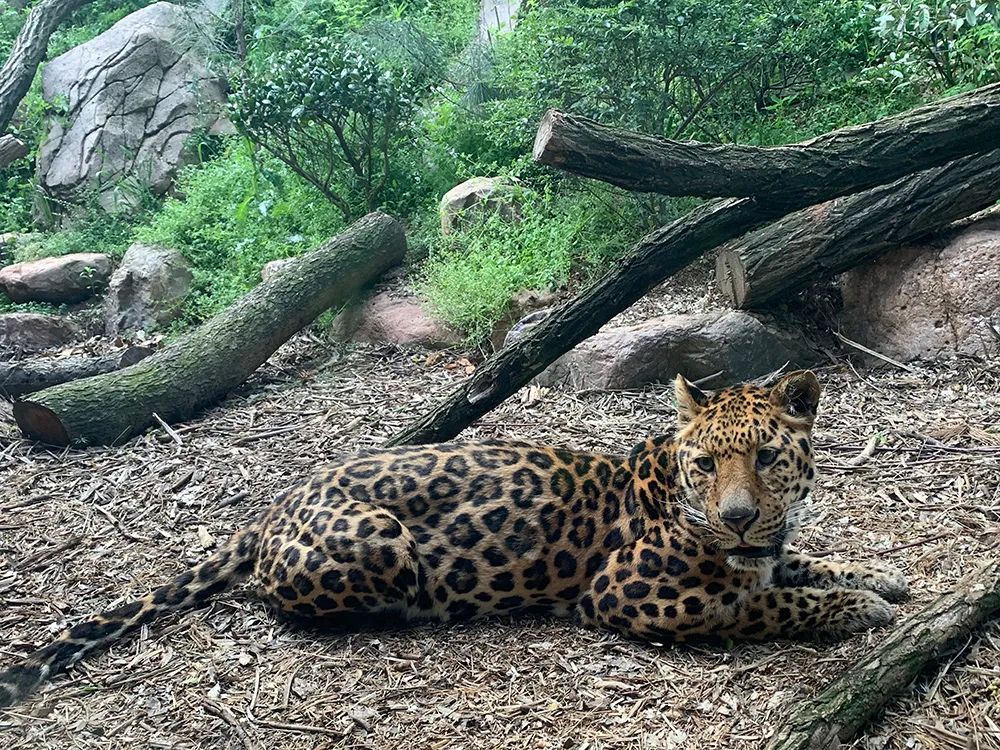 别去挤景点了！生态旅游了解一下