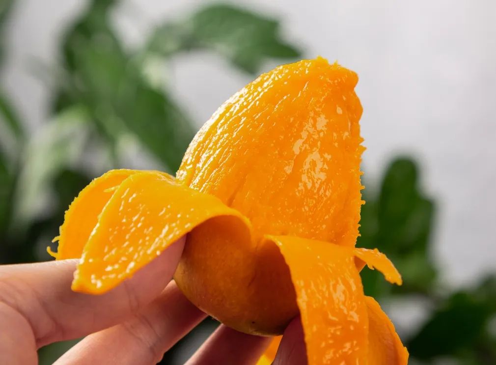 小台农贵妃芒哪个口感好,小台芒香甜滑嫩甜而不腻