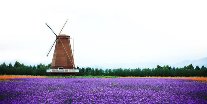 今天,向台州这个最年轻的城市说一声:三周岁,生日快乐