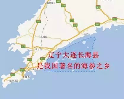 最新海参市场消息,海参市场靠谱吗