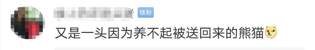 吃不到新鲜竹子，加拿大提前送回两只大熊猫，网友：欢迎回家吃饭