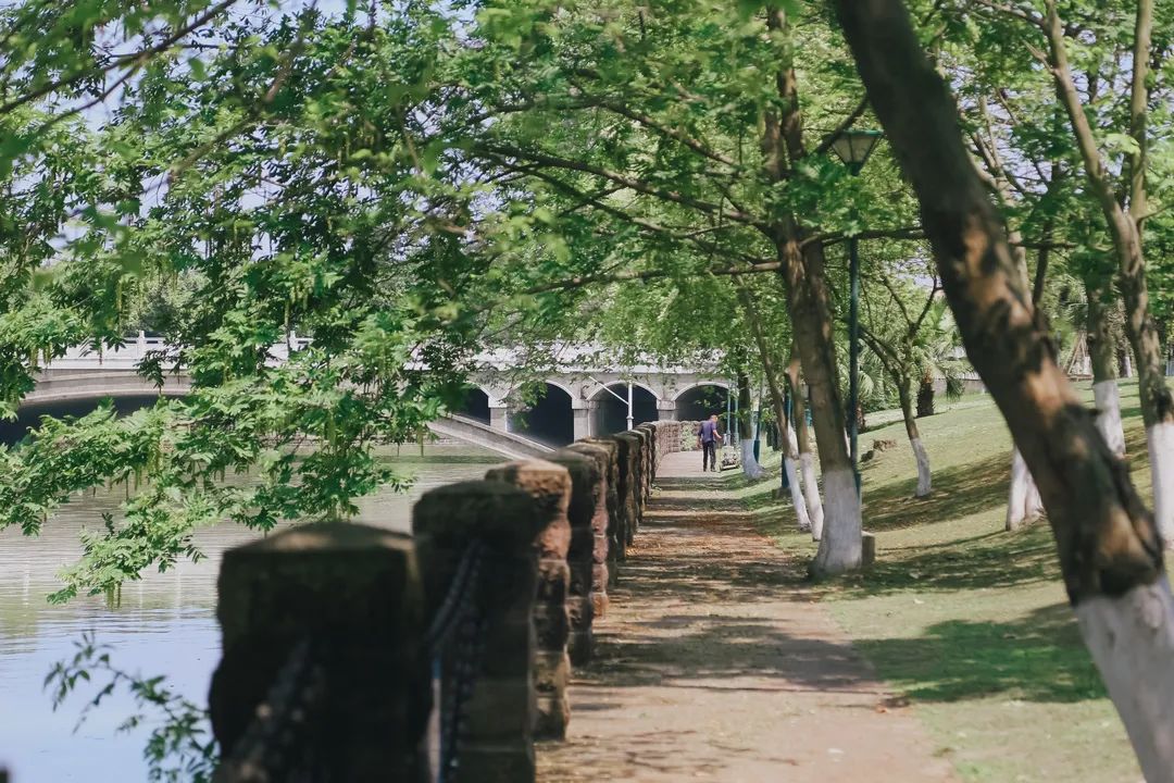 川大江安全景,川大江安校区地图高清