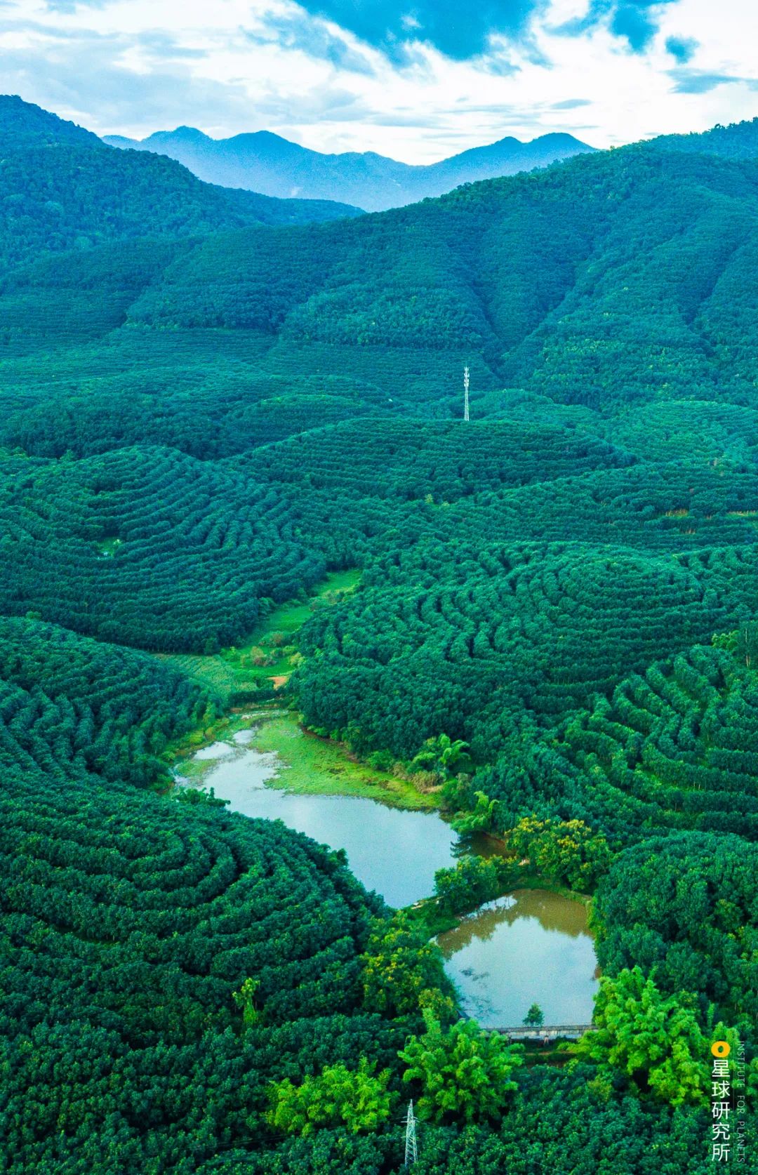 云南红河景色迷人,云南红河州哪些地方自然风光美