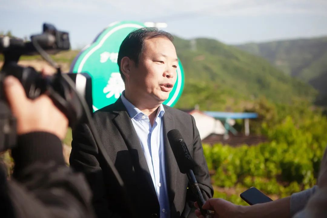 蚕宝宝怎么才能吐出金丝,蚕宝宝吐出透明色液体