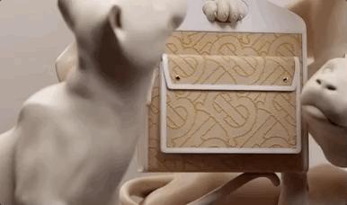 宋祖儿背包包,宋祖儿包包大揭秘